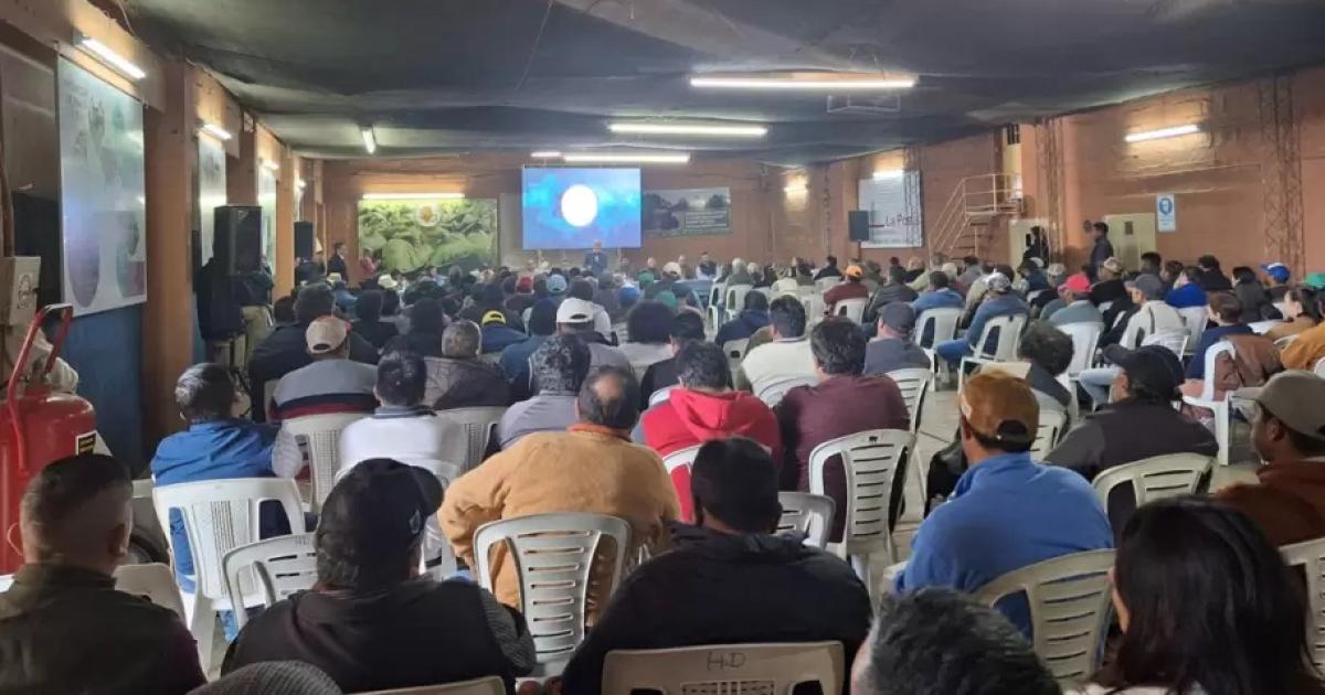 Pascuttini destacoacute que la uacuteltima campantildea tabacalera fue positiva para Jujuy