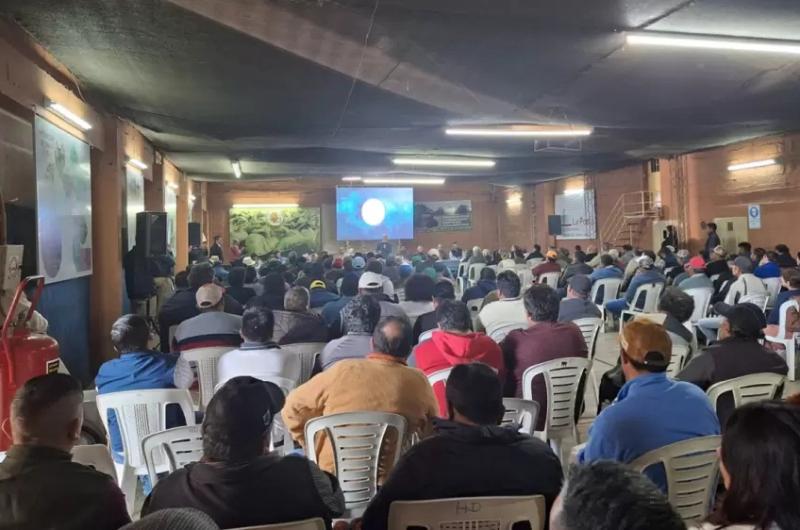 Pascuttini destacoacute que la uacuteltima campantildea tabacalera fue positiva para Jujuy