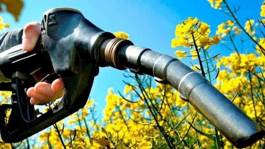 Energiacutea fijoacute nuevos precios miacutenimos para el bioetanol para junio de 2025