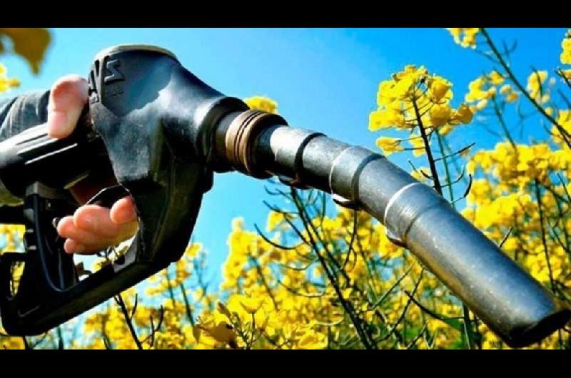 Energiacutea fijoacute nuevos precios miacutenimos para el bioetanol para junio de 2025