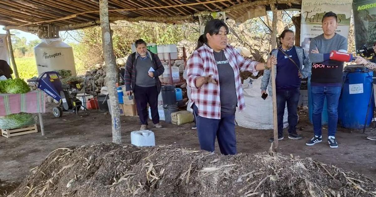 Expanden programas de fortalecimiento de la produccioacuten agroecoloacutegica en la provincia