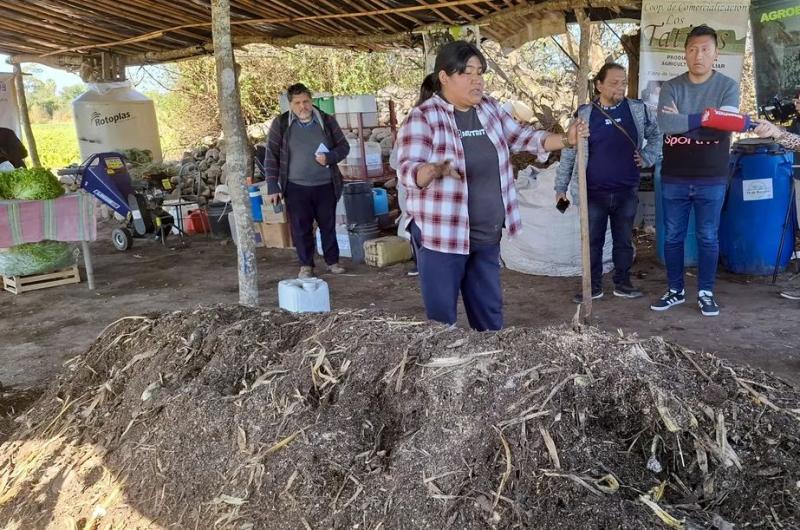 Expanden programas de fortalecimiento de la produccioacuten agroecoloacutegica en la provincia