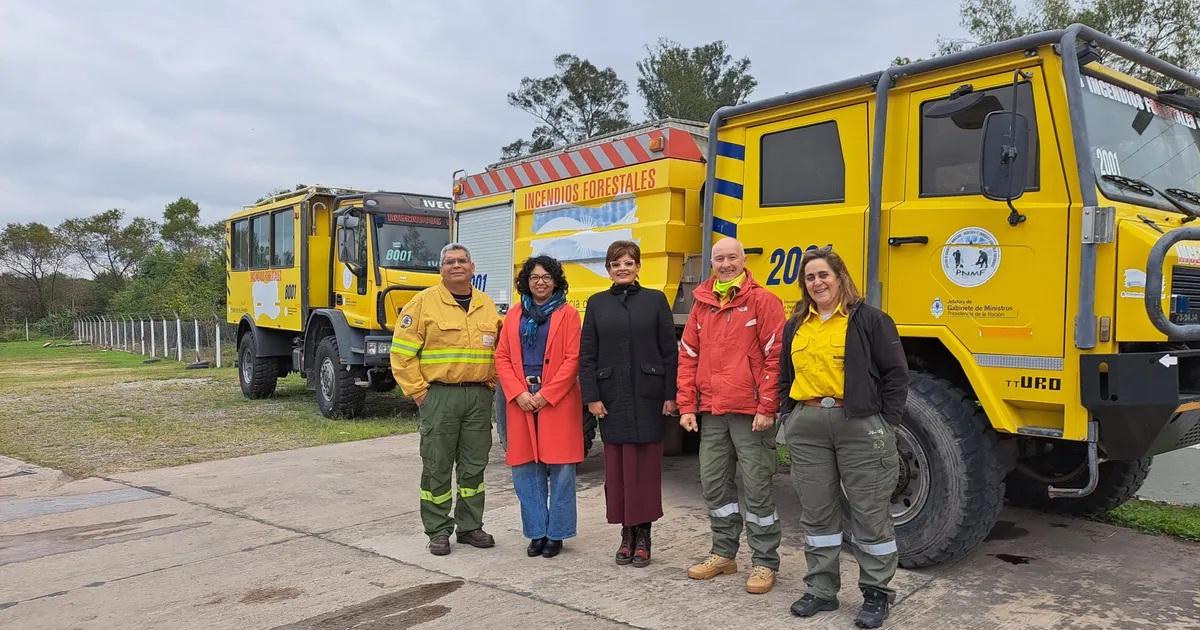 Evaluacioacuten estrateacutegica para prevenir incendios forestales y de vegetacioacuten