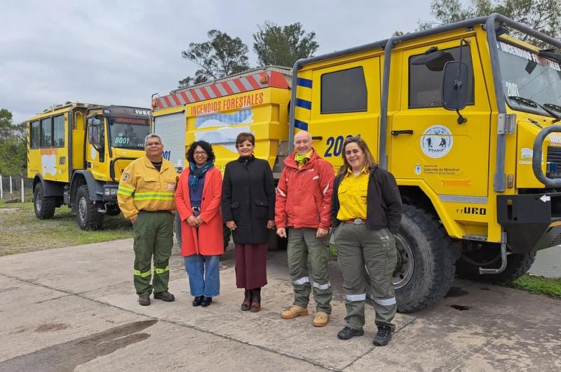Evaluacioacuten estrateacutegica para prevenir incendios forestales y de vegetacioacuten