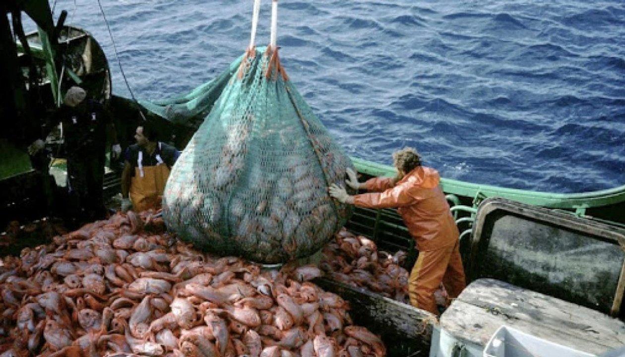 Las oportunidades laborales del 2025 vienen del comercio el agro y la pesca