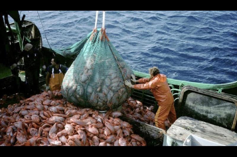 Las oportunidades laborales del 2025 vienen del comercio el agro y la pesca