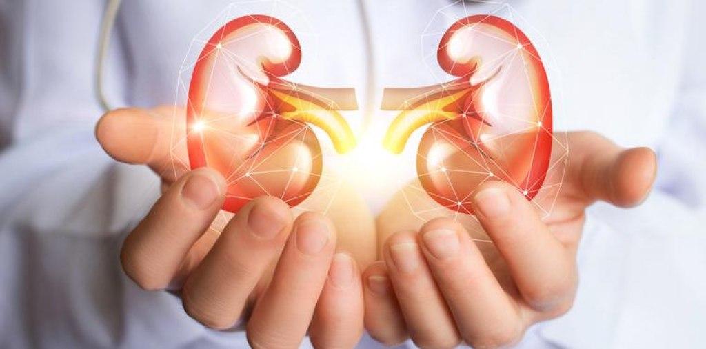 Caacutencer renal- detectado a tiempo puede tratarse con un pronoacutestico favorable