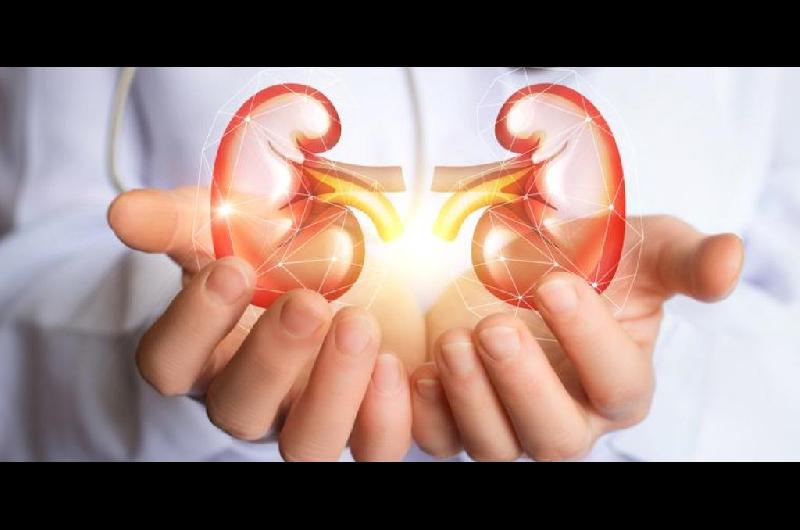 Caacutencer renal- detectado a tiempo puede tratarse con un pronoacutestico favorable