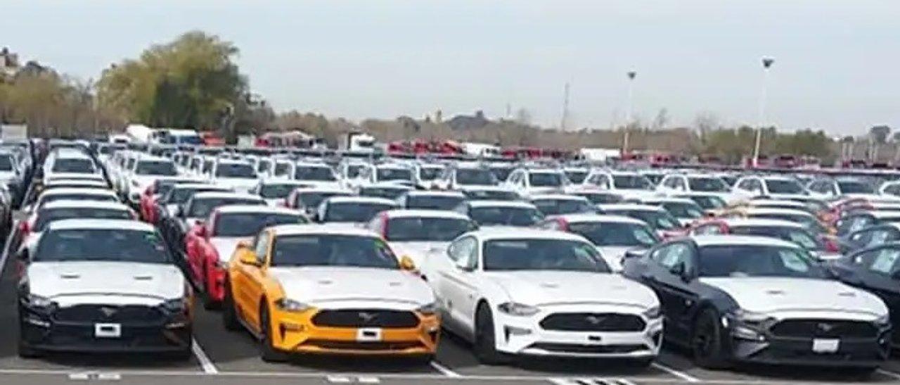 Advertencia- subsisten las trabas para que un particular importe un auto mejor esperar