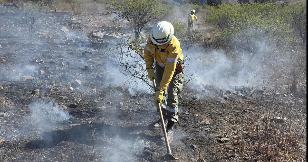Raacutepido despliegue para controlar un incendio forestal en Volcaacuten