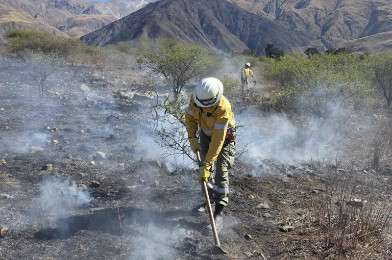 Raacutepido despliegue para controlar un incendio forestal en Volcaacuten