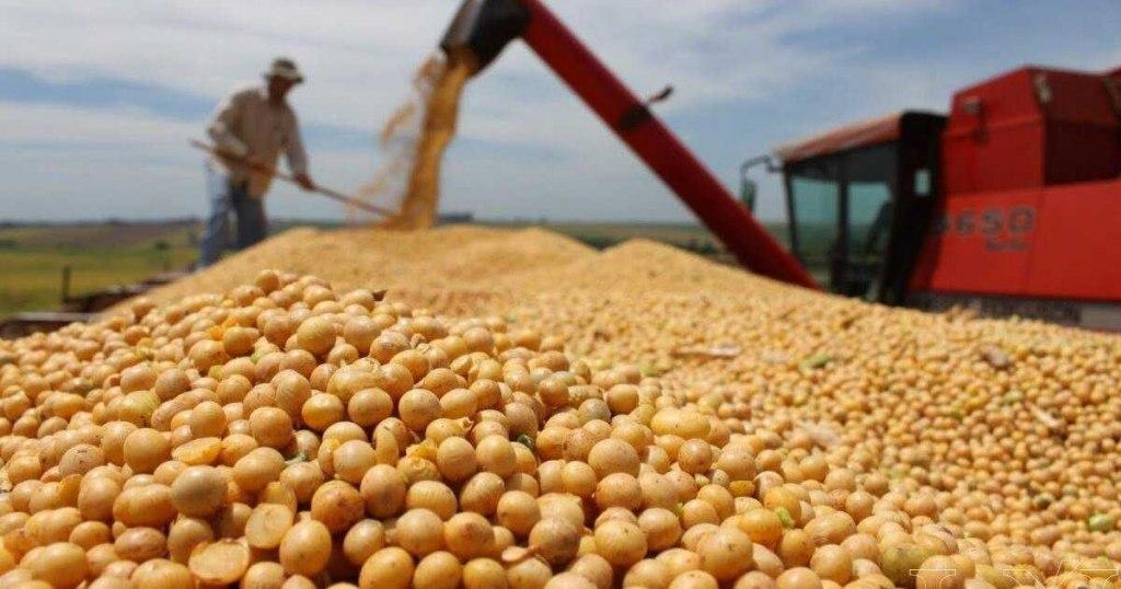 Alivio para las reservas se dispararon las declaraciones de venta de soja
