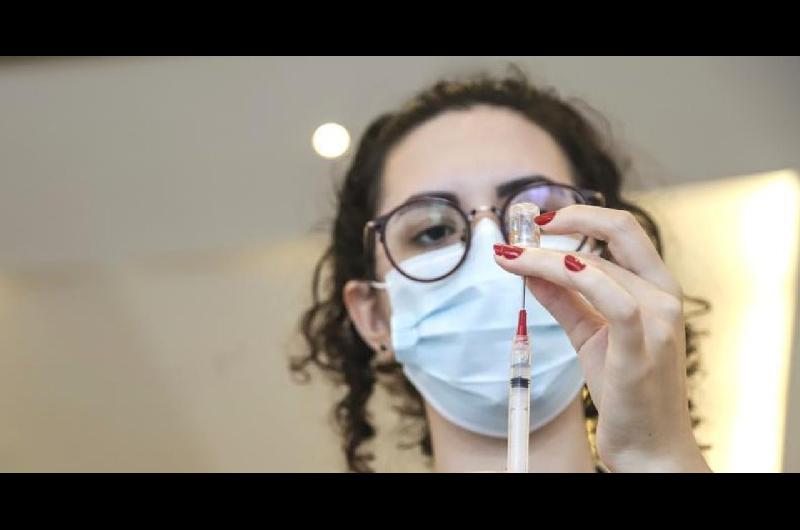 Brasil autorizoacute ensayos en humanos para vacuna contra la gripe aviar