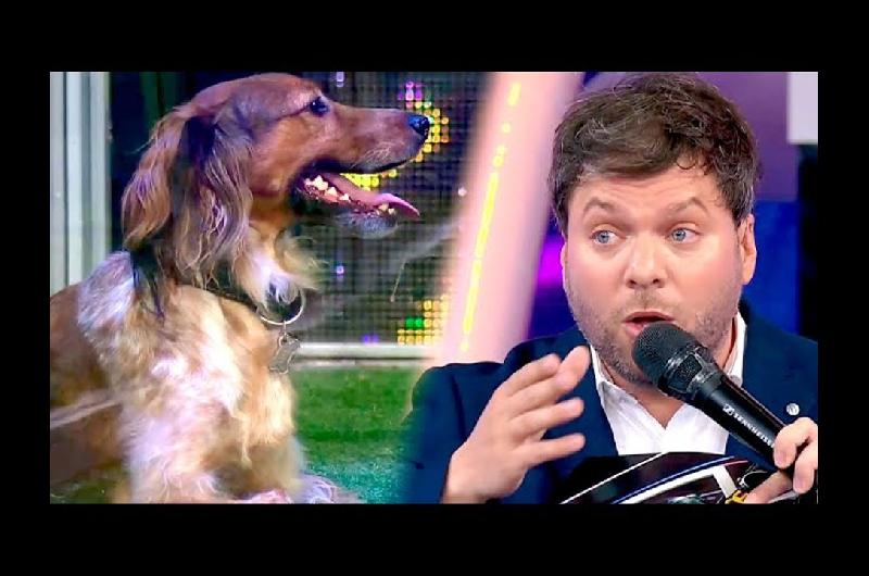 Guido Kaczka su viacutenculo con Mario Pergolini y el cambio estructural de su conduccioacuten