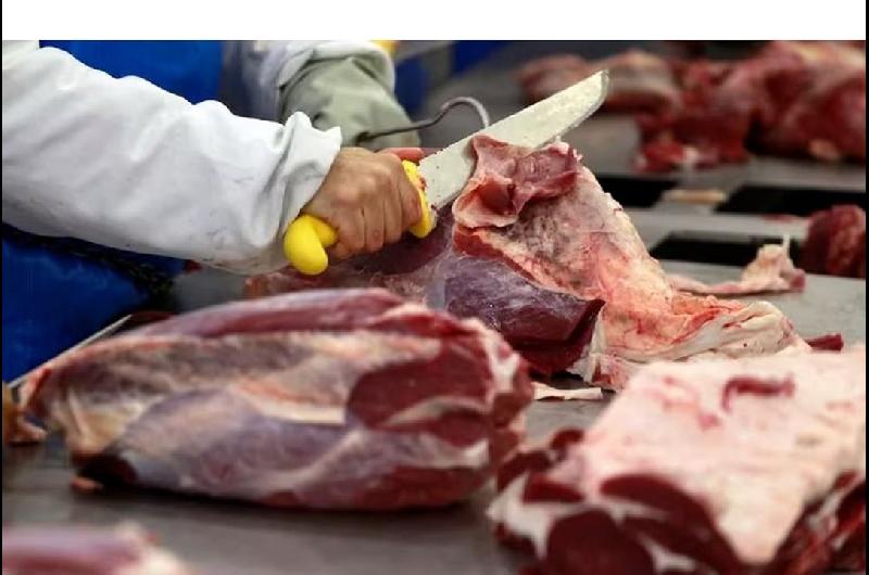 El consumo de carne vacuna en Argentina sigue siendo uno de los maacutes bajos de la historia