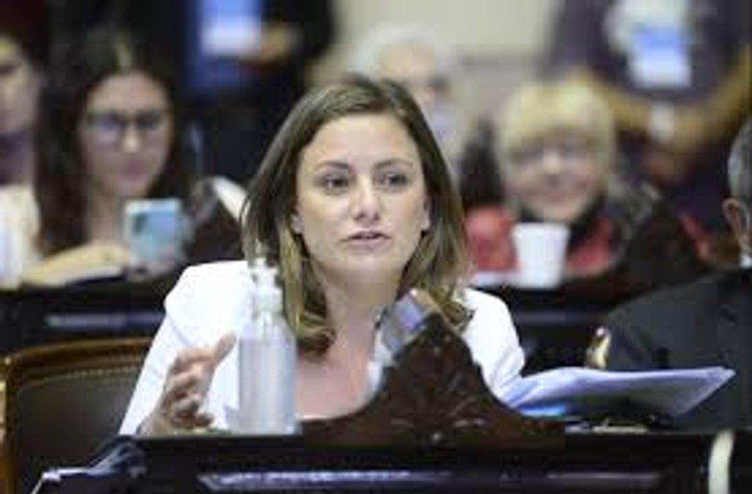 Vanesa Siley consideroacute que Arroyo Salgado adolece de un ldquodesconocimiento inexcusable del derechordquo
