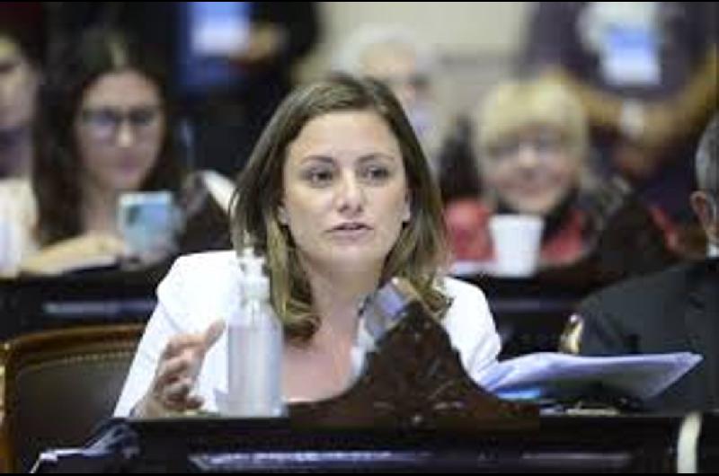 Vanesa Siley consideroacute que Arroyo Salgado adolece de un ldquodesconocimiento inexcusable del derechordquo