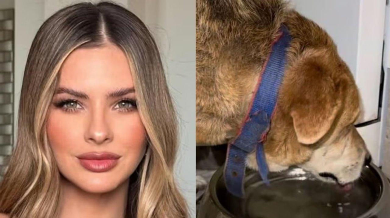 La China Suaacuterez dijo que su perro no murioacute electrocutado y la respuesta de Yanina Latorre fue letal