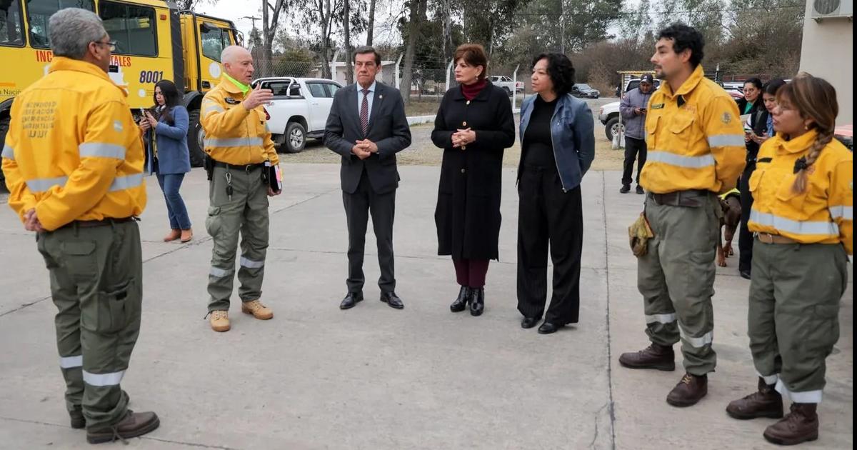 Articulan la prevencioacuten y respuesta para proteger los bosques nativos