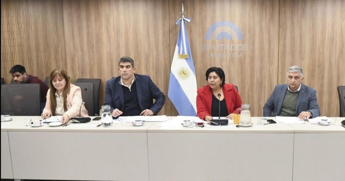 Avanza el concurso puacuteblico para la Defensoriacutea Nacional de la Nintildeez