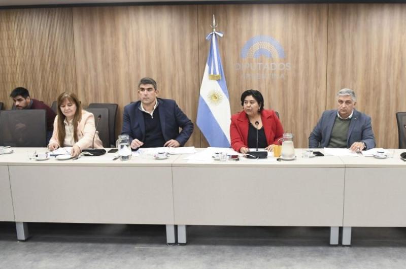 Avanza el concurso puacuteblico para la Defensoriacutea Nacional de la Nintildeez