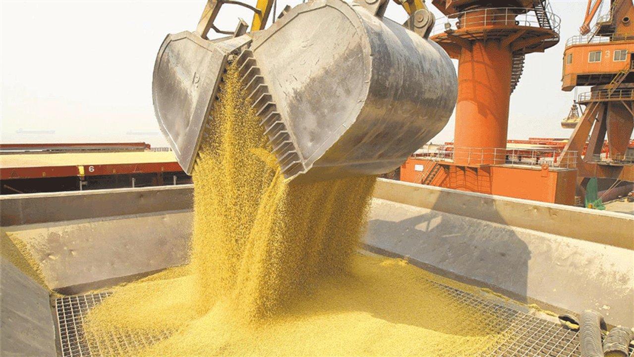 Sin viento de cola- la principal exportacioacuten argentina tiene el precio maacutes bajo en 15 antildeos