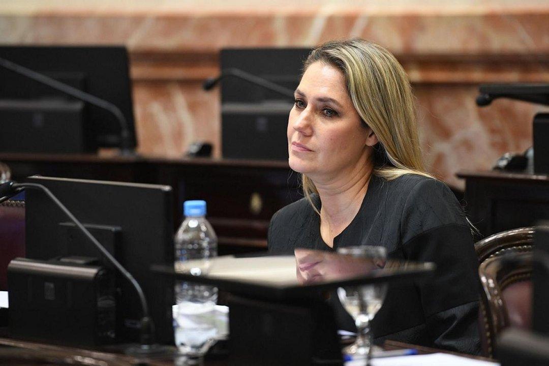 Votacioacuten poleacutemica en el Senado- Losada aclaroacute que su voto fue un gesto testimonial