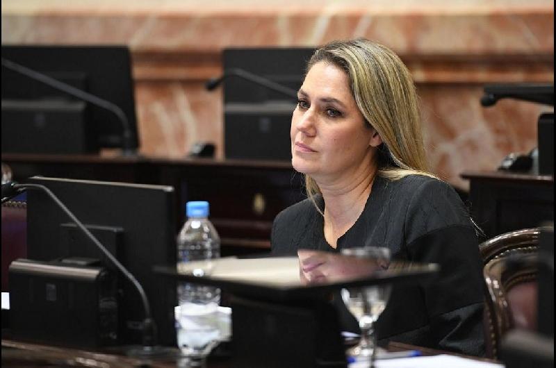 Votacioacuten poleacutemica en el Senado- Losada aclaroacute que su voto fue un gesto testimonial