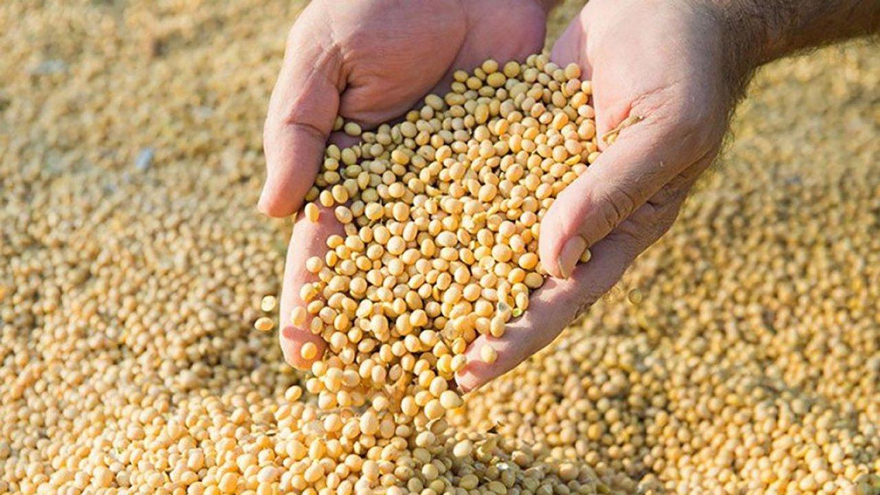 Advierten que los ajustes del Gobierno en el sector agropecuario produciraacuten consecuencias catastroacuteficas