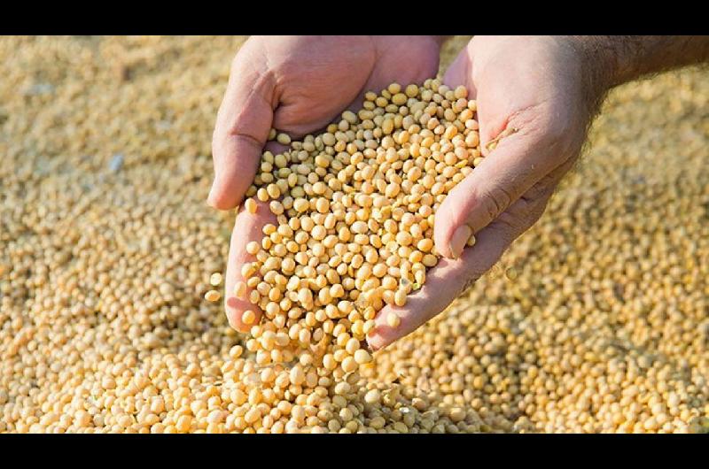 Advierten que los ajustes del Gobierno en el sector agropecuario produciraacuten consecuencias catastroacuteficas
