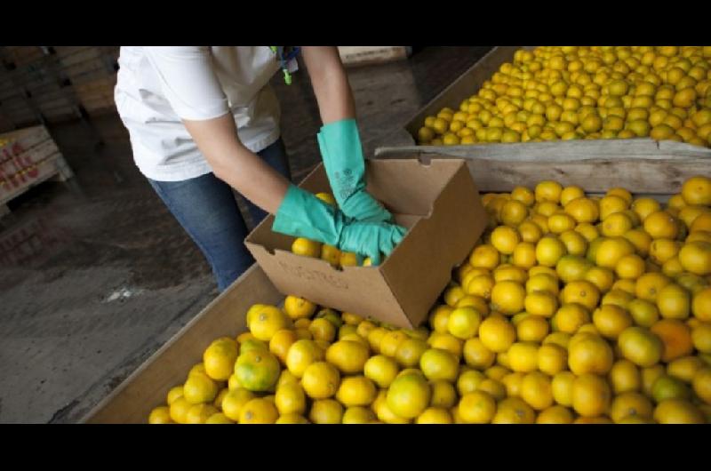 Los limones argentinos consiguen nuevo mercado pero a la carne se le cierran puertas