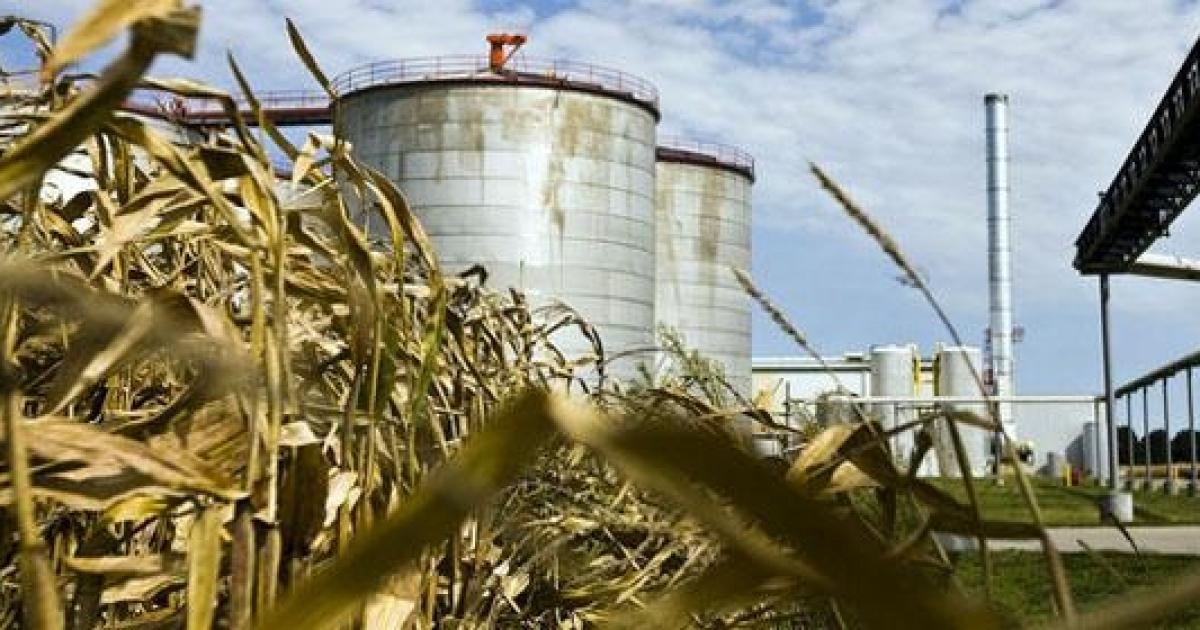 Economiacuteas regionales- incrementan los precios de los biocombustibles 