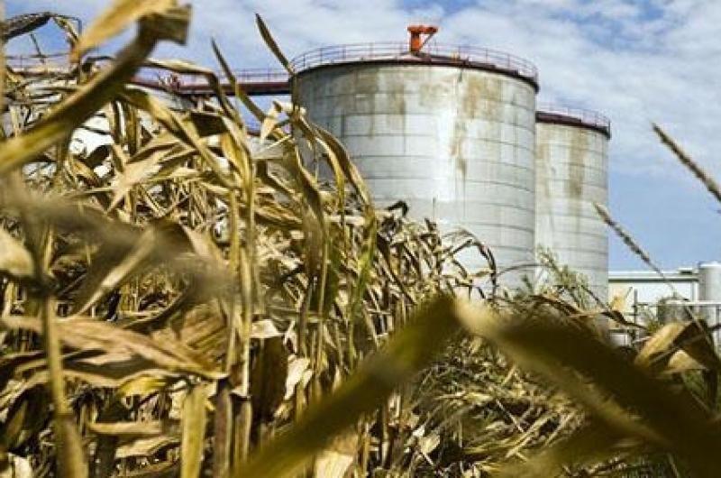 Economiacuteas regionales- incrementan los precios de los biocombustibles 