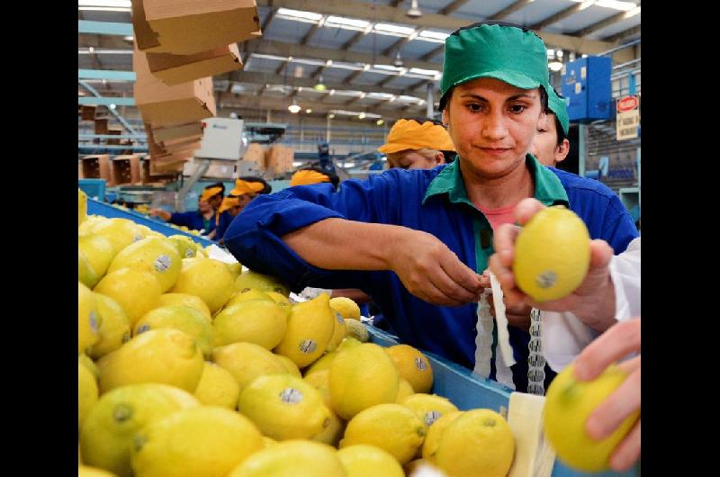 Productores de verduras y frutas salen a vender a bajos precios eliminando intermediarios 