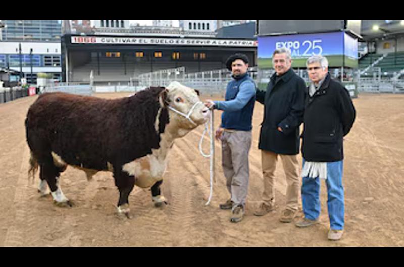 Un toro raza Hereford fue el primer animal en ingresar a la Expo Rural 25