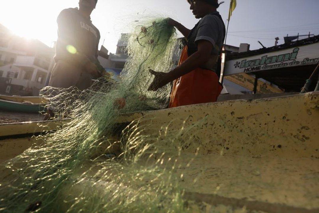 Exportadores de pescado brasilentildeos anuncian la suspensioacuten de sus enviacuteos a Estados Unidos