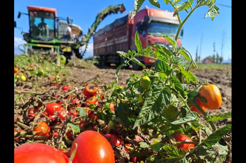 El gobierno de Meacutexico rechaza el impuesto del 1709 -en-porciento- a sus tomates por Estados Unidos