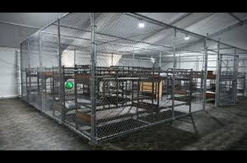 Estados Unidos comienza a deportar migrantes desde Alligator Alcatraz