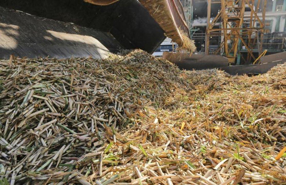 Avance dispar en la molienda de cantildea de azuacutecar
