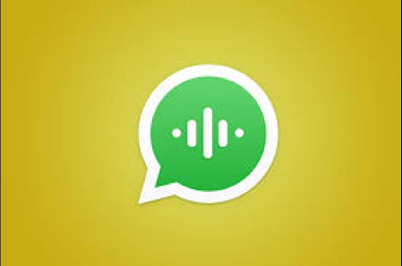 Nueva Zelanda- enviaron alerta de tsunami por mensajeriacutea telefoacutenica 