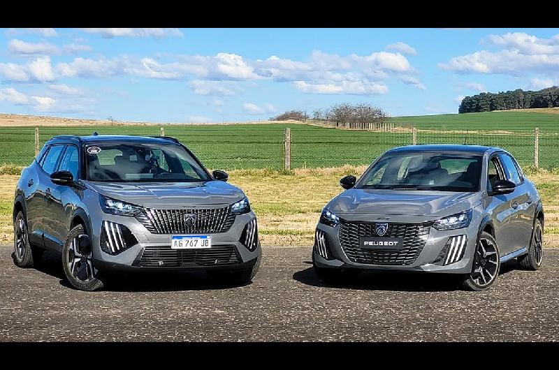 Si teneacutes alguno de estos modelos de Peugeot debeacutes ir al taller por fallas en la bomba de nafta 