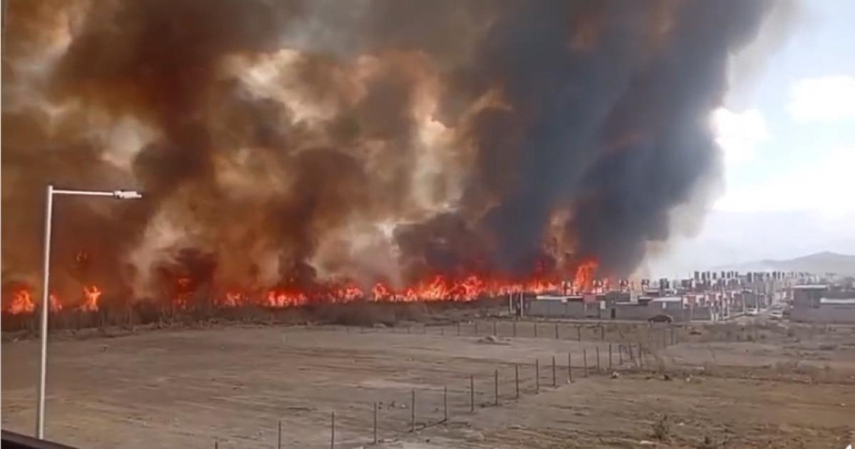 Graves incendios forestales en Alto Comedero y Palpalaacute