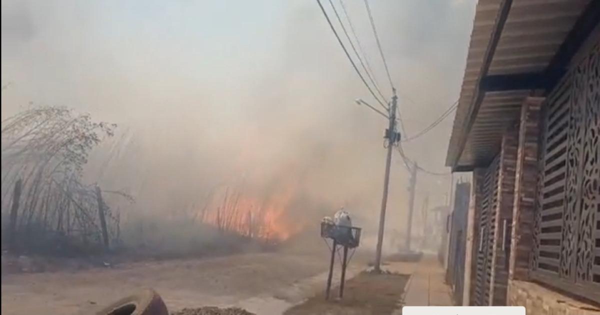 Graves incendios forestales en Alto Comedero y Palpalaacute