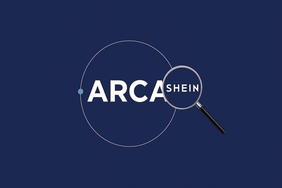 La verdad sobre por queacute ARCA le pone lupa a las compras por Shein y fomenta un e-commerce nacional