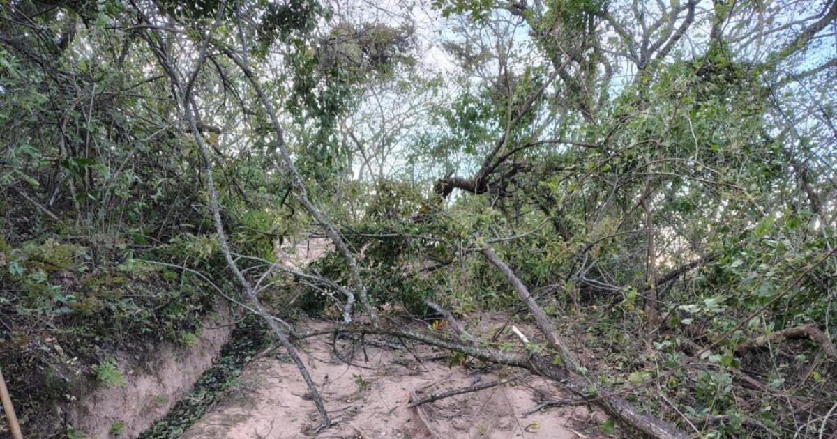 Reabrieron el parque botaacutenico tras realizar tareas de limpieza