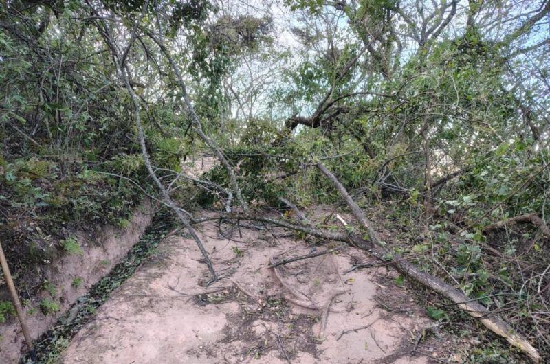 Reabrieron el parque botaacutenico tras realizar tareas de limpieza