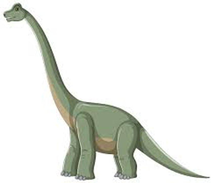 Una enfermedad oacutesea habriacutea diezmado a dinosaurios de cuello largo que habitaron el actual Brasil