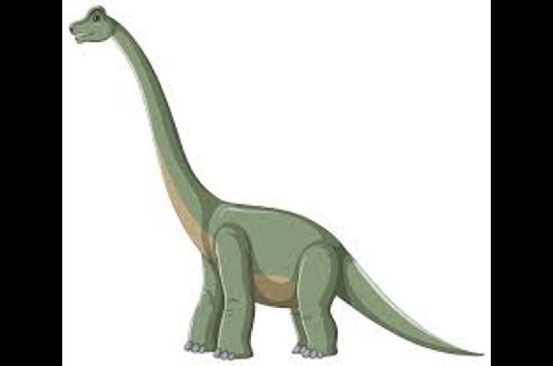 Una enfermedad oacutesea habriacutea diezmado a dinosaurios de cuello largo que habitaron el actual Brasil