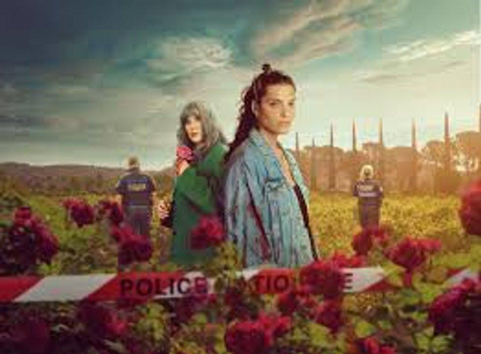 Coacutemo es Sol negro una de las series del momento que arrasa en Netflix