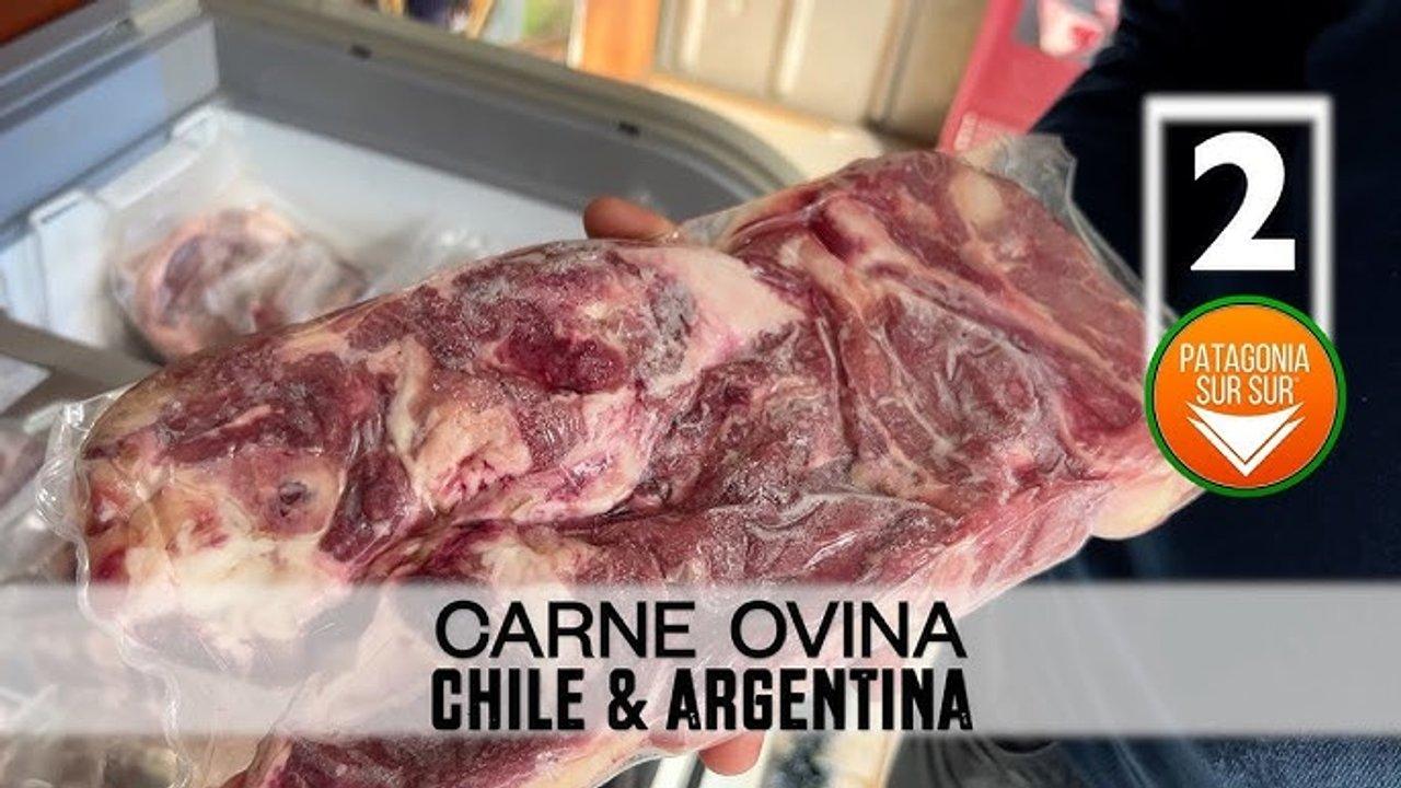 Dura respuesta de Chile a una medida del Gobierno- prohiacuteben la carne argentina por temor a la aftosa
